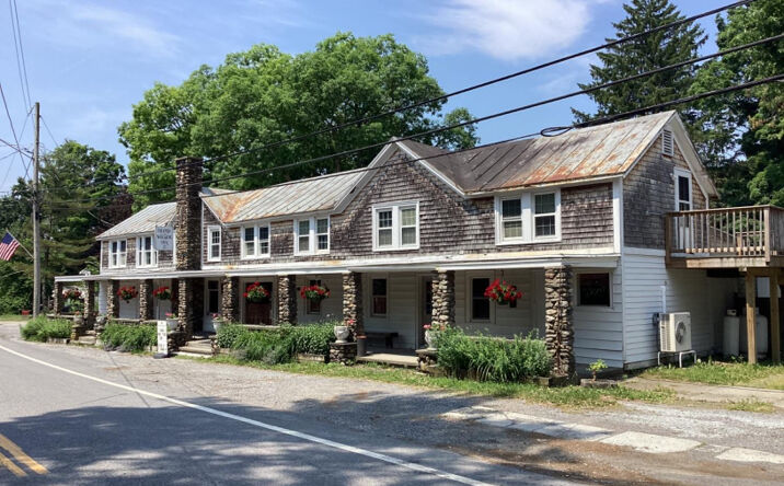 Pictures of Mixed Use, Retail, Hospitality, Land property located at 108 Ny- 344, Copake Falls, NY 12517 for sales - image #1
