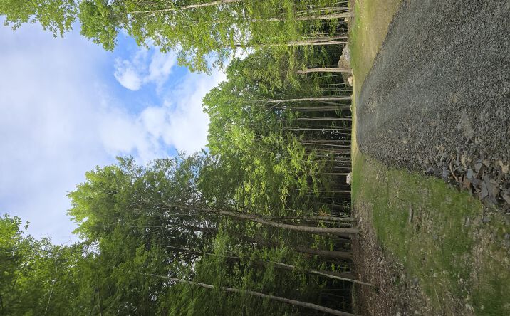 Pictures of Land, Multifamily property located at Tbd Avery Hand Lane, New Lebanon, NY 12125 for sales - image #1