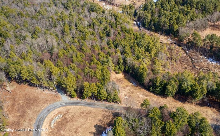 Pictures of Land property located at 13191 Route 22 Stop #80, Canaan, NY 12029 for sales - image #1