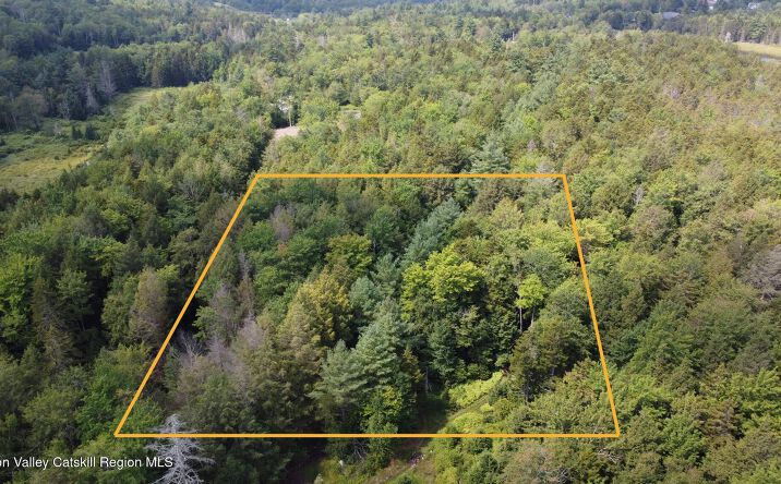Pictures of Land property located at Tbd Stone St, Haines Falls, NY 12436 for sales - image #1