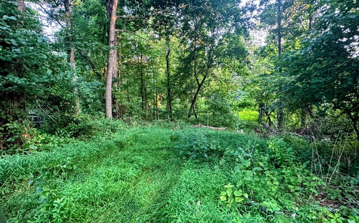 Pictures of Land property located at 20 Pine Road, Elizaville, NY 12523 for sales - image #1