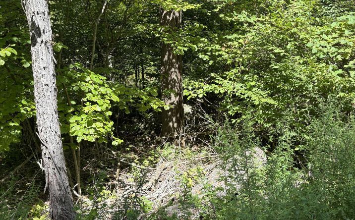 Pictures of Land, Special Purpose, Multifamily property located at Tbd Oak Ridge Road, Ellenville, NY 12428 for sales - image #1