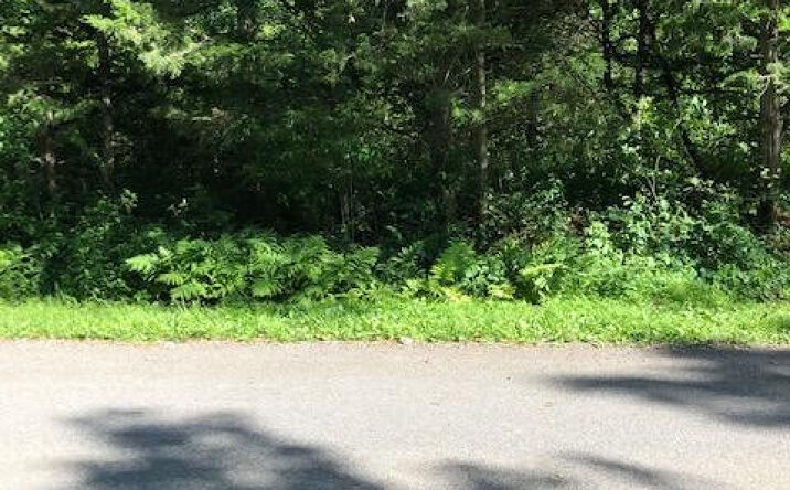 Pictures of Land, Multifamily property located at 31 Rip Van Winkle Drive, Athens, NY 12015 for sales - image #1