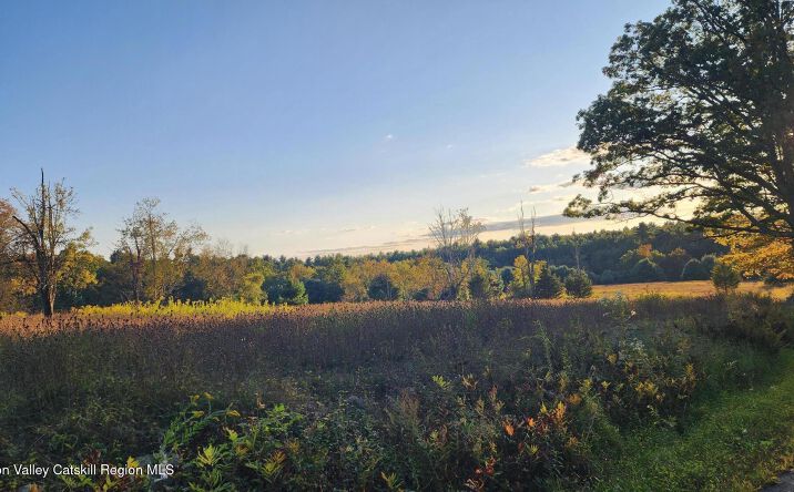 Pictures of Land property located at 647 Irish Cape Road, Wawarsing, NY 12489 for sales - image #1