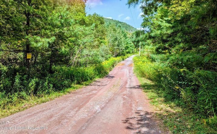 Pictures of Land, Special Purpose property located at 2 Cohen Road, Prattsville, NY 12468 for sales - image #1