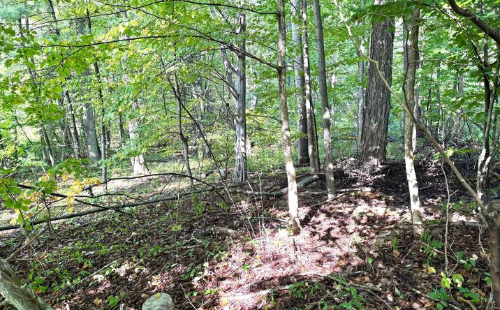 Pictures of Land property located at Deerfield Road, Boiceville, NY 12412 for sales - image #1