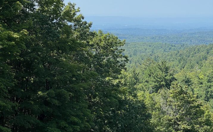 Pictures of Land property located at Harlemville Road, Hillsdale, NY 12529 for sales - image #1