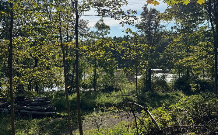Pictures of Land property located at L2 High Rock Road, West Coxsackie, NY 12192 for sales - image #1