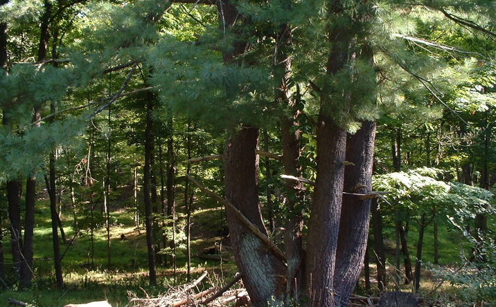 Pictures of Land, Special Purpose, Multifamily property located at 94 Miller Road Road, Hudson, NY 12534 for sales - image #1
