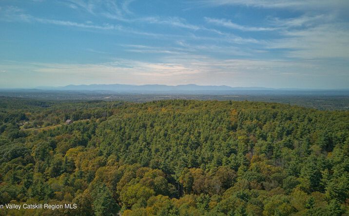 Pictures of Land, Special Purpose property located at Scannell Road, Ghent, NY 12075 for sales - image #1