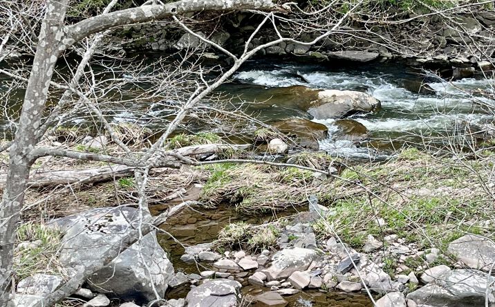 Pictures of Land property located at 39227 State Highway 23, Grand Gorge, NY 12434 for sales - image #1