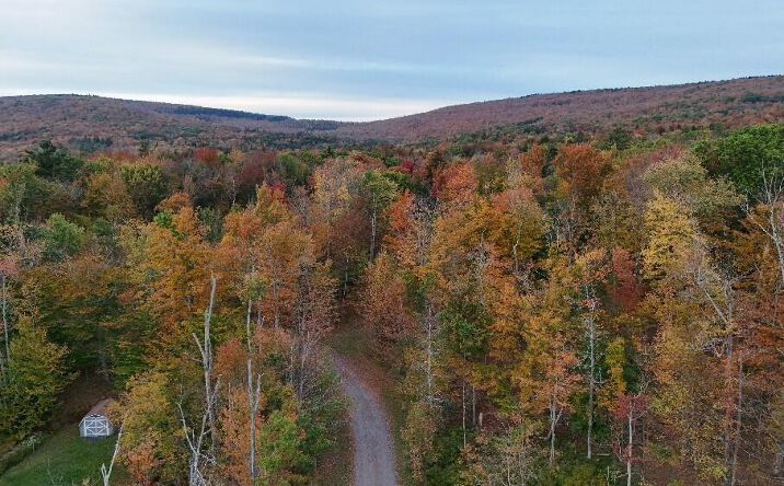Pictures of Land, Multifamily property located at Tbd Kornell Drive, Haines Falls, NY 12436 for sales - image #1