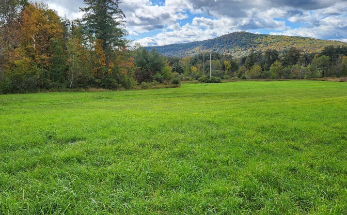 Pictures of Land property located at County Route 9, New Lebanon, NY 12125 for sales - image #1