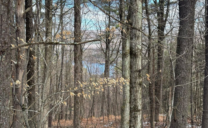 2320 Route 295, Canaan