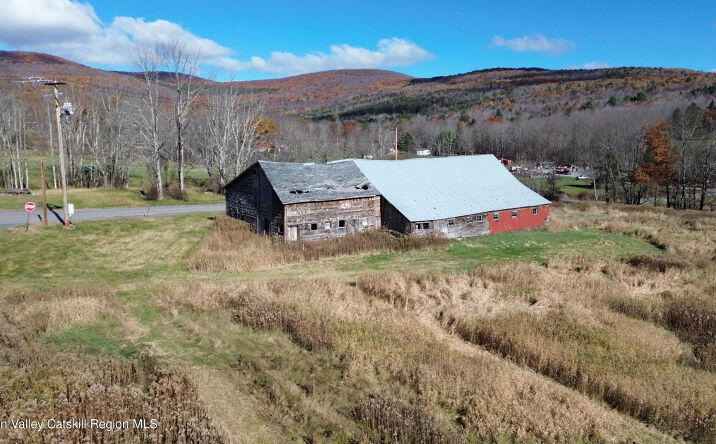 Pictures of Land property located at Route 10, Ashland, NY 12407 for sales - image #1