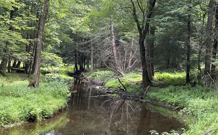 Pictures of Land, Multifamily property located at 239 Sundale Road, Accord, NY 12404 for sales - image #1