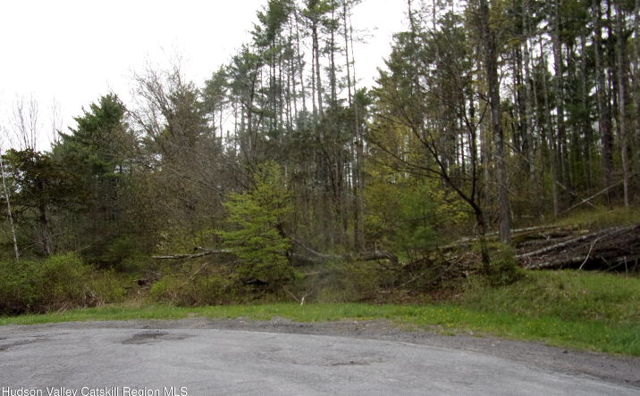 Pictures of Land, Special Purpose, Multifamily property located at 128 Klingermann Drive, Cairo, NY 12413 for sales - image #1