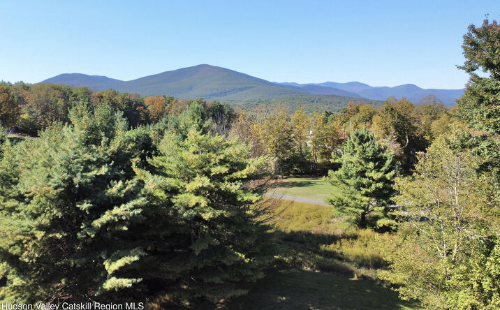 Pictures of Land property located at 679 Vly Road, Stone Ridge, NY 12484 for sales - image #1
