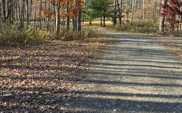 Knapp Hollow, Hillsdale