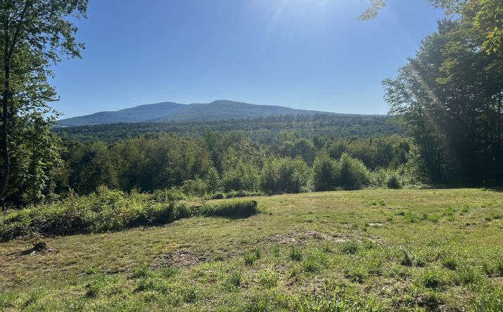 Pictures of Land property located at Blueberry Estate, Prattsville, NY 12468 for sales - image #1