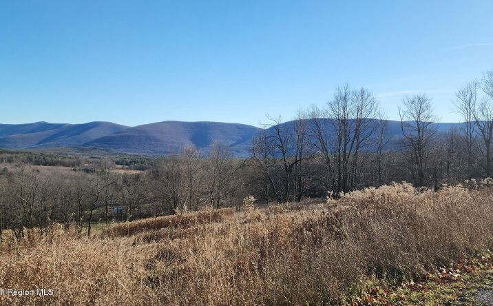 Pictures of Land property located at Bruce Cross Road, Prattsville, NY 12468 for sales - image #1