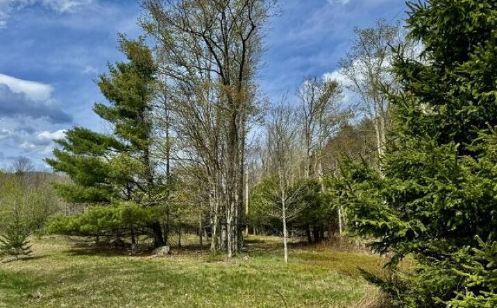 Pictures of Land property located at Tbd Park Road, Lexington, NY 12452 for sales - image #1