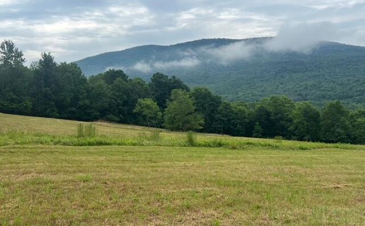 Pictures of Land, Multifamily property located at 11400 New York 23, Ashland, NY 12407 for sales - image #1