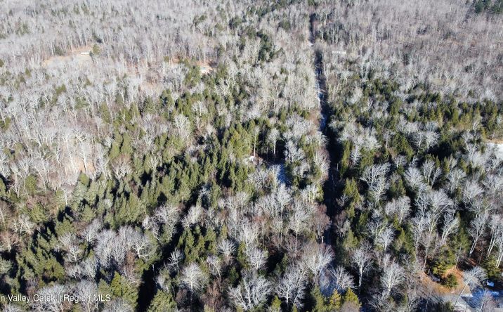 Pictures of Land property located at 139 Woodland Trail, East Jewett, NY 12424 for sales - image #1
