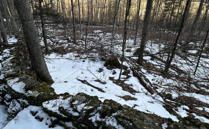 Pictures of Land property located at Kelly Corners-Denver-Vega Road, Margaretville, NY 12455 for sales - image #1