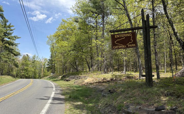 Pictures of Land property located at Tbd Route 28a, West Hurley, NY 12491 for sales - image #1