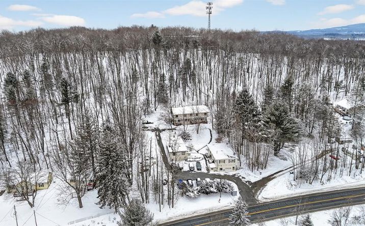 Pictures of Multifamily property located at 1189 New York 52, Loch Sheldrake, NY 12759 for sales - image #1