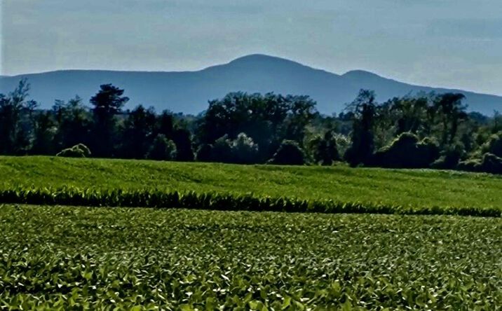 Pictures of Land property located at Route 9 S, Hudson, NY 12534 for sales - image #1
