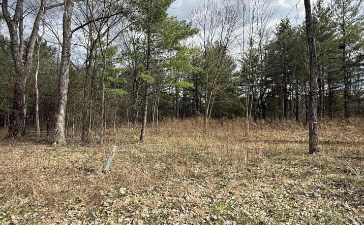 Pictures of Land property located at 17 Tappan Zee Court, Athens, NY 12015 for sales - image #1
