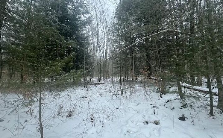 Tbd County Route 84, Hastings