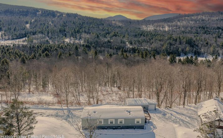 Pictures of Multifamily property located at 40 Van Drive, Tannersville, NY 12485 for sales - image #1