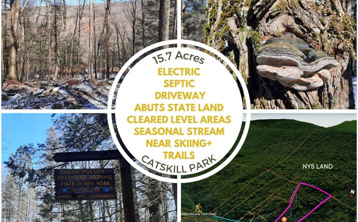 Pictures of Land, Special Purpose, Multifamily property located at Tbd Rider Hollow Road, Hardenburgh, NY 12406 for sales - image #1