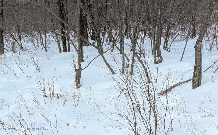 Pictures of Land, Special Purpose property located at High Peak Road Lot 61 & 20, Windham, NY 12496 for sales - image #1