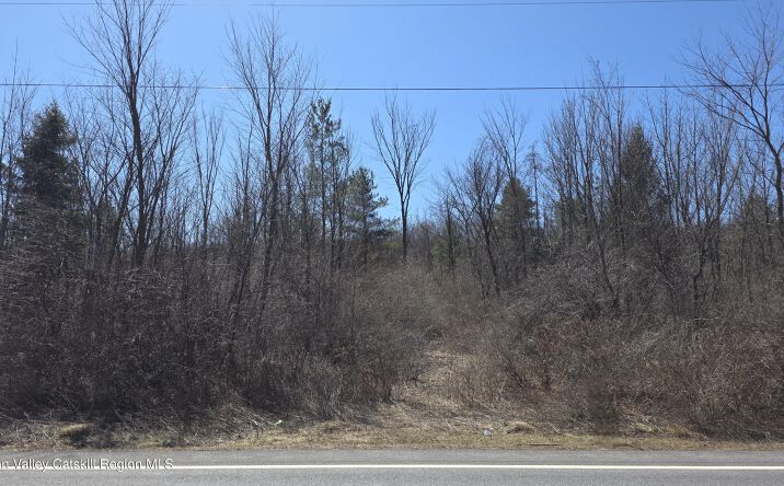 Pictures of Land property located at New York 145, Durham, NY 12423 for sales - image #1