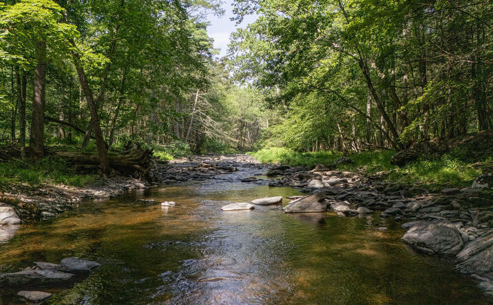 Pictures of Land, Multifamily, Special Purpose property located at Tbd Mettacahonts, Accord, NY 12404 for sales - image #1