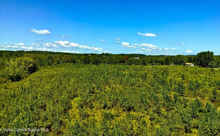 Pictures of Land, Mixed Use, Special Purpose, Multifamily property located at N Vernon Street, Athens, NY 12015 for sales - image #1