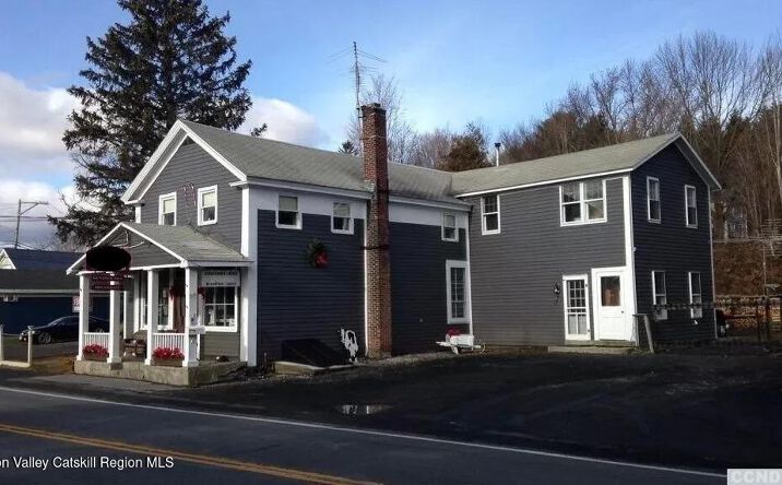 Pictures of Mixed Use, Retail, Land property located at 1135 New York 295, East Chatham, NY 12060 for sales - image #1