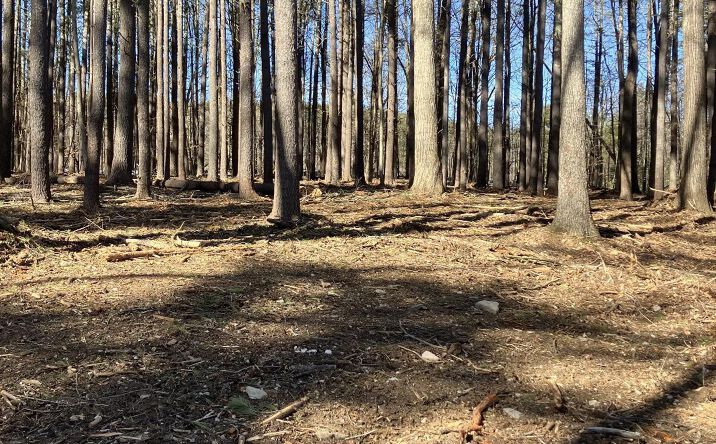 Pictures of Land property located at Pine Crest Lane, Freehold, NY 12431 for sales - image #1