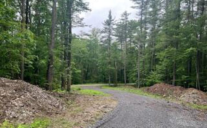 Pictures of Land property located at L30.4 Old Gale Hill Road, New Lebanon, NY 12125 for sales - image #1