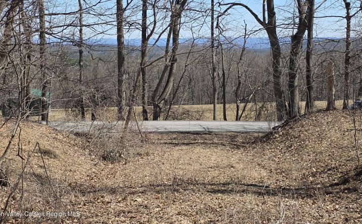 Pictures of Land property located at King Hill Road, Freehold, NY 12431 for sales - image #1