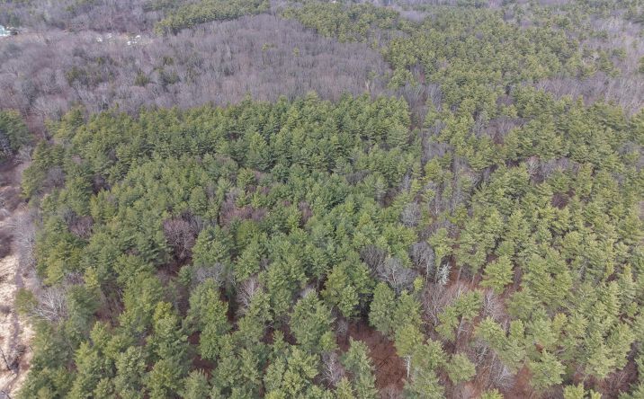 Pictures of Land property located at Lot 54 Route 51, Hannacroix, NY 12087 for sales - image #1