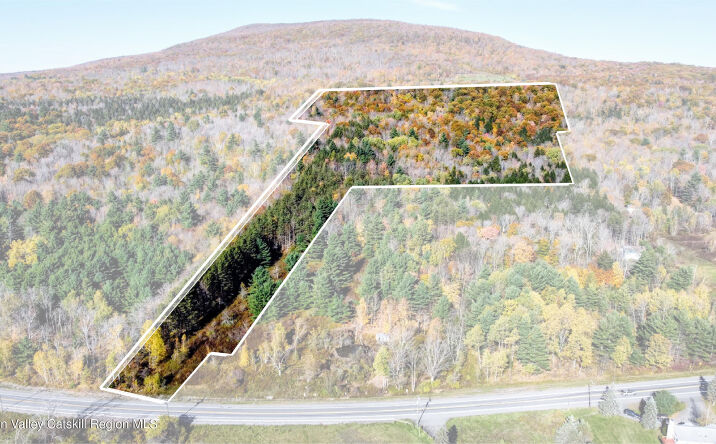Pictures of Land, Mixed Use, Multifamily, Special Purpose property located at New York 23a, Hunter, NY 12442 for sales - image #1