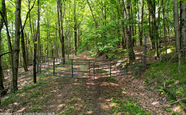 Pictures of Land, Special Purpose property located at Paradise Camp Road, Fleischmanns, NY 12430 for sales - image #1