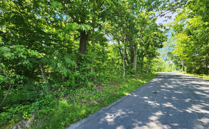 Pictures of Land, Multifamily property located at Tbd Irish Cape Road, Ellenville, NY 12428 for sales - image #1