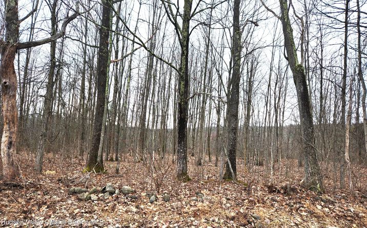 Pictures of Land, Multifamily property located at Tbd Irish Cape Road, Ellenville, NY 12428 for sales - image #1