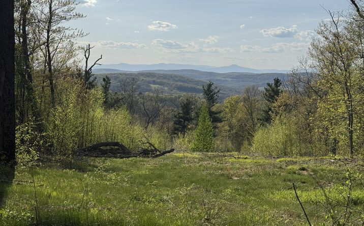 Pictures of Land property located at Route 82, Ancramdale, NY 12503 for sales - image #1